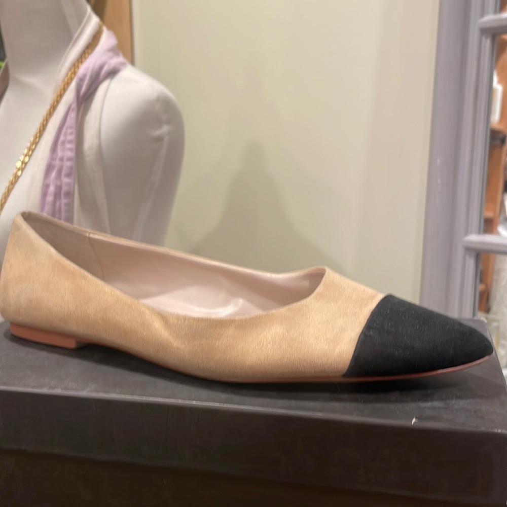 Zara Basic Pointed Microsuede Toe Cap Flat - image 1